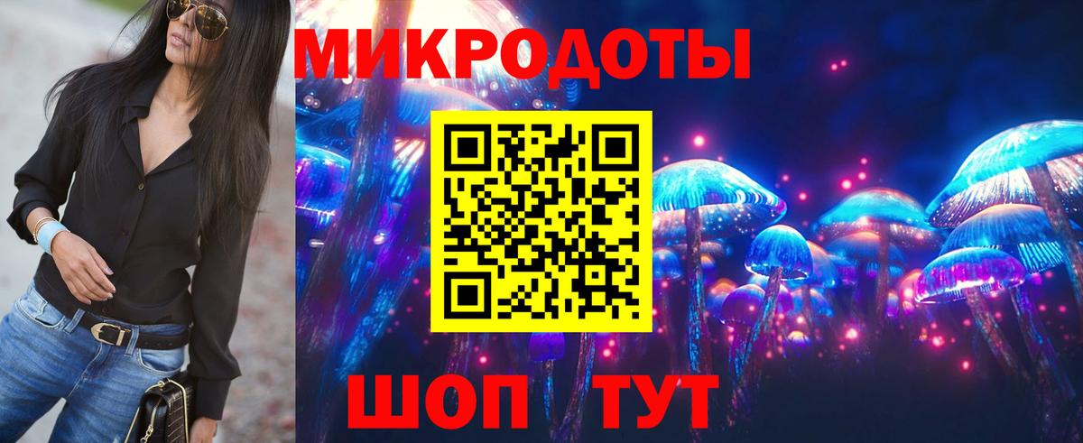Псилоцибиновые грибы Psilocybine cubensis Шелехов