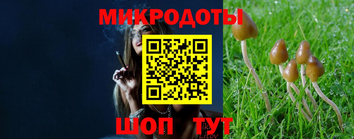 Галлюциногенные грибы Magic Shrooms  Вход с VPN  Галлюциногенные грибы GOLDEN TEACHER  Шелехов 